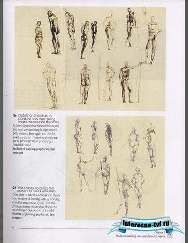 Gottfried Bammes (The Artist's guide to human anatomy) Gottfried Bammes (The Artist's guide to human anatomy)