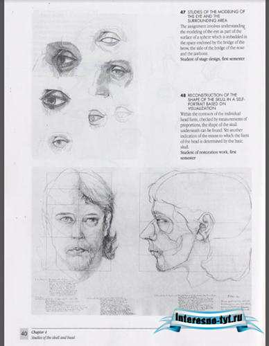 Gottfried Bammes (The Artist's guide to human anatomy) Gottfried Bammes (The Artist's guide to human anatomy)