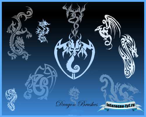 Dragon Brushes Set