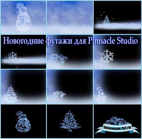 Новогодние футажи для Pinnacle Studio – Снежинки, свободные художники