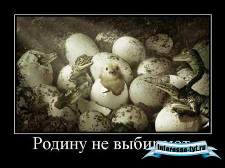 Подборка из 100та демотиваторов. Часть 1