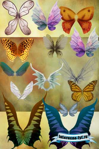 Psd fairy Butterfly wings Psd fairy Butterfly wings