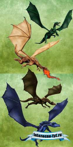 Painted Dragons PSD
