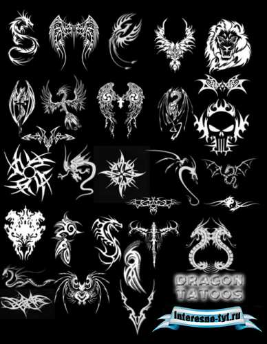 Dragon tatoo brushes Dragon tatoo brushes
