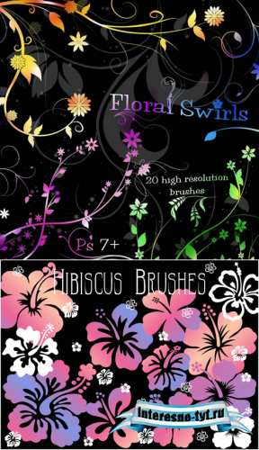 Floral Swirl Brushes and Hibiscus Brushes Floral Swirl Brushes and Hibiscus Brushes