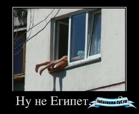 Лучшие демотиваторы декабря 2011