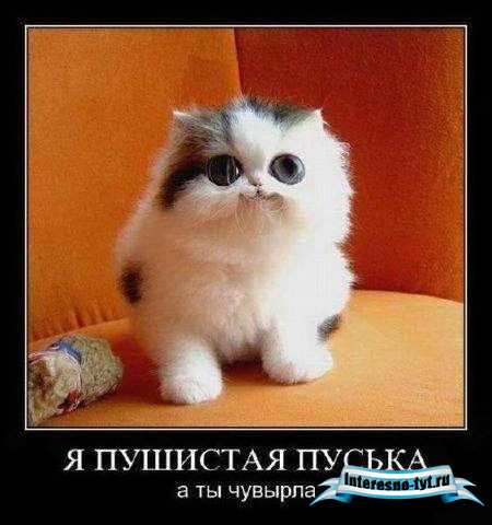Тысяча демотиваторов №1. Димотиваторы со смыслом