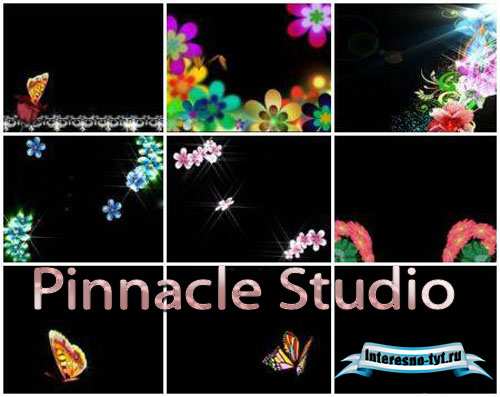 Нежные весенние футажи для Pinnacle Studio – Цветы и бабочки