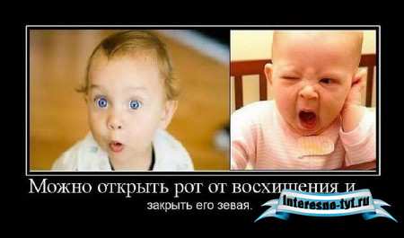 Свежая подборка демотиваторов от 09.02.2012