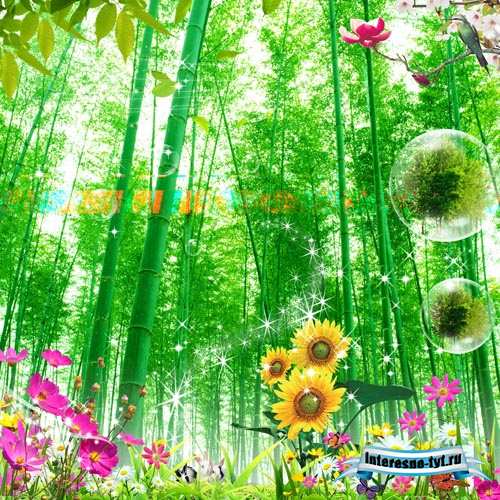 Beautiful spring nature for Photoshop Beautiful spring nature for Photoshop