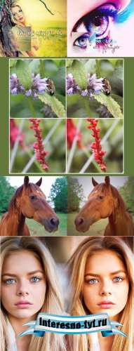 Cool Photoshop Action 2012 pack 318 Cool Photoshop Action 2012 pack 318