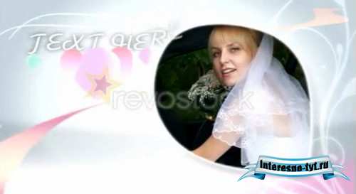 Wedding Flowers 69348 - After Effects Project