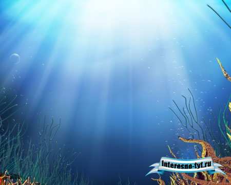 Футажи фоны - Подводный мир Футажи фоны - Подводный мир