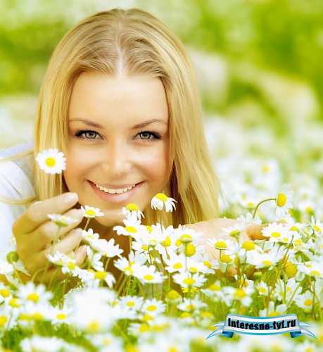 Stock Photos - Ромашки