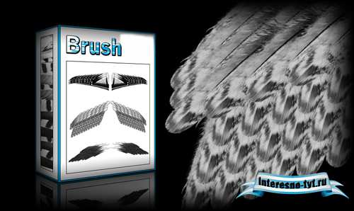 Wings Brushes Set for Photoshop Wings Brushes Set for Photoshop