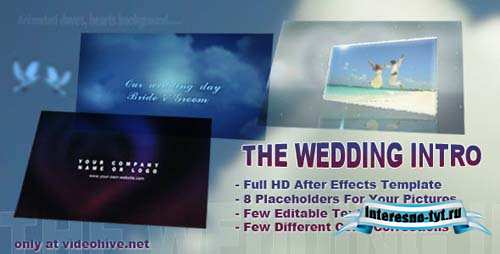 Videohive After Effects Project - The Wedding Intro