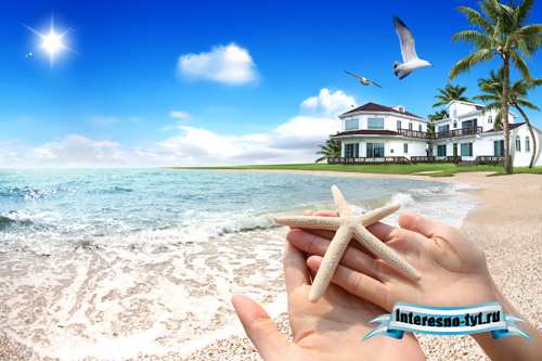 Sea Star psd for Photoshop Sea Star psd for Photoshop