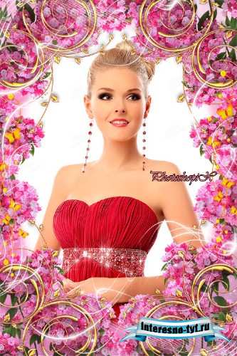 Рамка с цветами для Photoshop – Розовая гвоздика