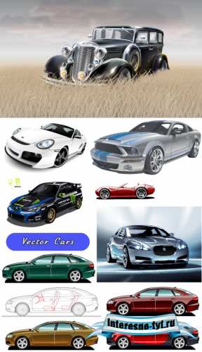 Реалистичные векторные легковые автомобили (Вектор)