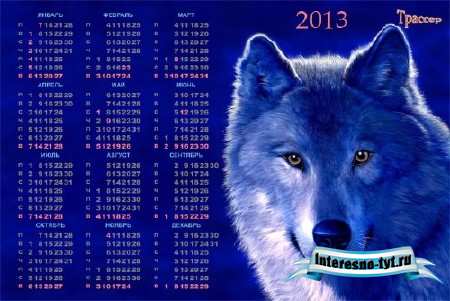Календарь на 2013 и 2014 года - Белый волк