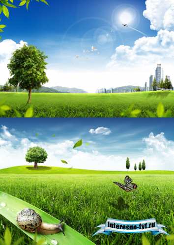 Sources - A beautiful summer nature Sources - A beautiful summer nature