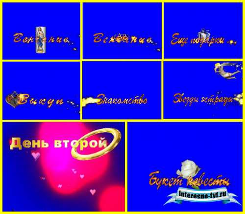 Сборник анимированных свадебных надписей на хромакее