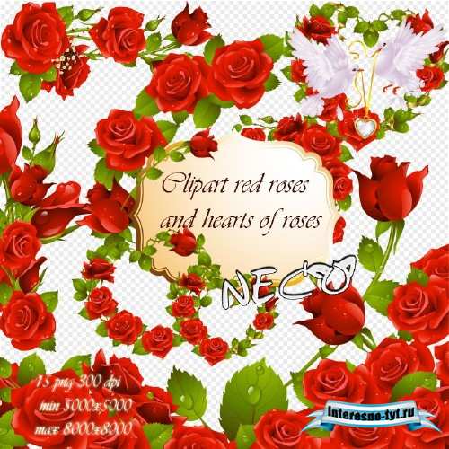 Clipart red roses - Клипарт красные розы и сердечки из роз PNG
