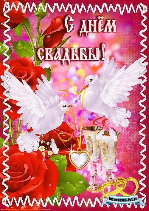 Свадебные плакаты – Кольца, голуби, бокалы