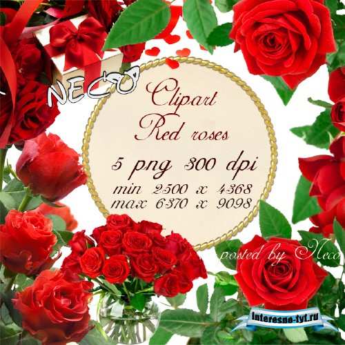 Clipart red roses 2 - Клипарт красные розы 2 PNG