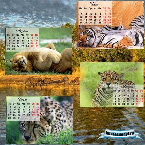 Календарь на 2013 год - дикие кошки