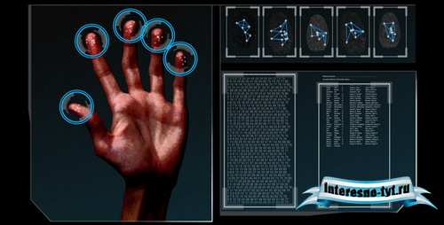 HD Fingerprint Scan Identification Interface — Motion Graphics (Videohive)