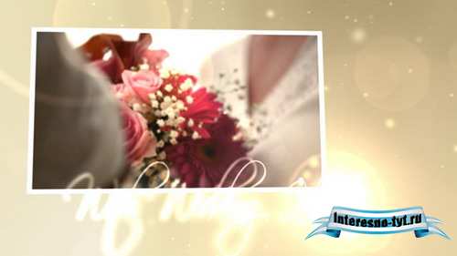 Wedding Hearts CS4 — After Effects Project(Videohive)