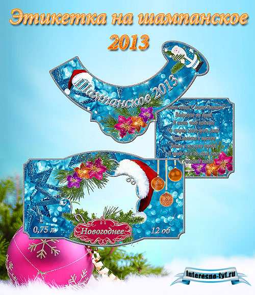 Новогодняя этикетка на шампанское 2013