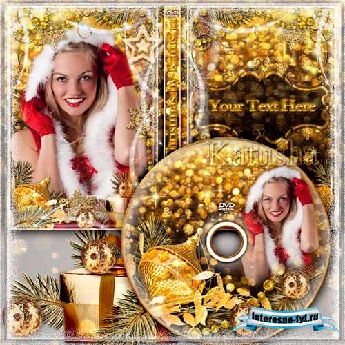 Новогодний набор для оформления DVD и фото