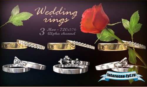 Футажи с альфа каналом - Свадебные кольца - Wedding rings