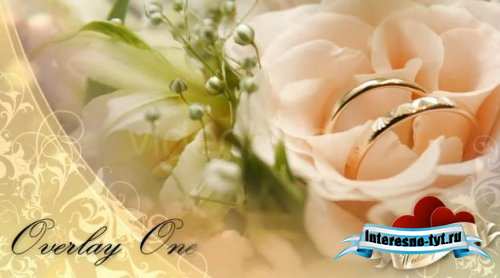 Wedding Bells - A Dream Wedding Pack - After Effects Project (Videohive) 