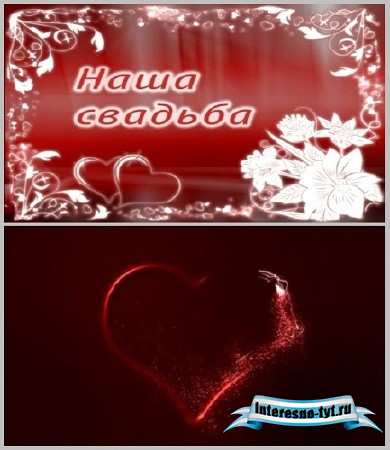 Нежный футаж - Наша свадьба