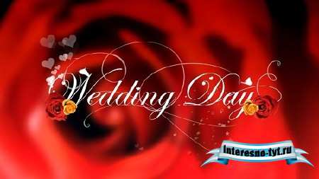 Istock video footage - Wedding day Istock video footage - Wedding day