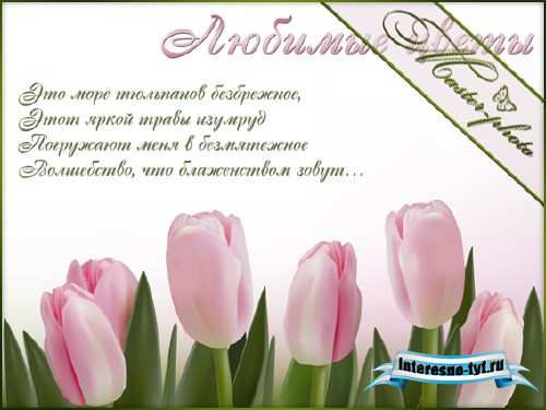 Многослойный PSD исходник для photoshop - Яркие цветы