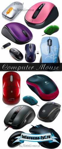 Клипарт в PNG – Компьютерная мышь/ Computer mouse - Clipart in PNG
