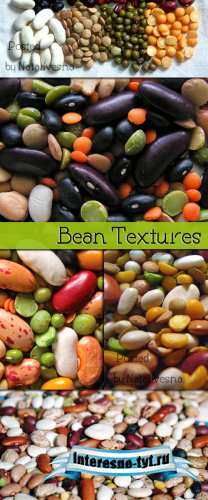Бобовые текстуры / Textures Bean Бобовые текстуры / Textures Bean