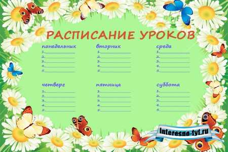 Бланк расписания уроков для школы - бабочки