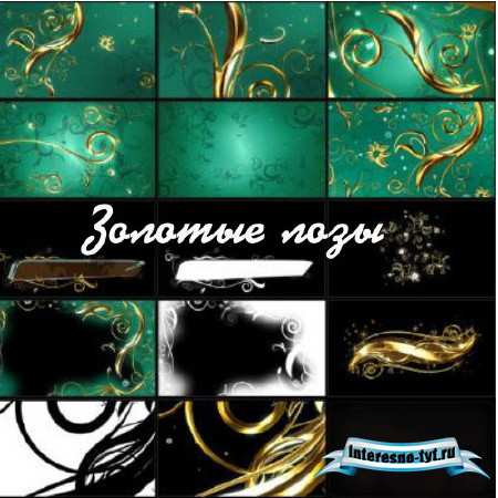 Сборник футажей фонов Золотые лозы
