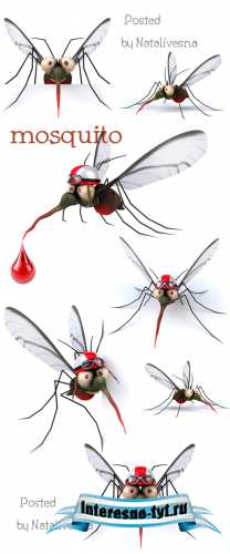 3D Комарики на белом фоне / 3D Mosquito - Stock photo 3D Комарики на белом фоне / 3D Mosquito - Stock photo