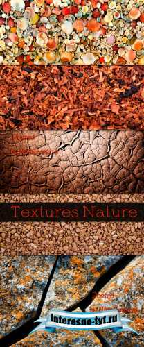 Природные текстуры / Textures Nature Природные текстуры / Textures Nature