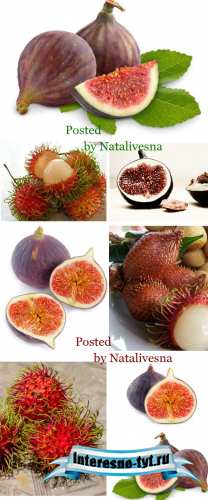 Инжир и Рамбутан / Fig and Rambutan - Stock photo