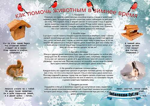 Стенгазета как помочь животным в зимнее время