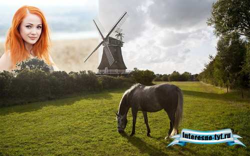 Фоторамка psd - На зеленой поляне пасется лошадь возле мельницы