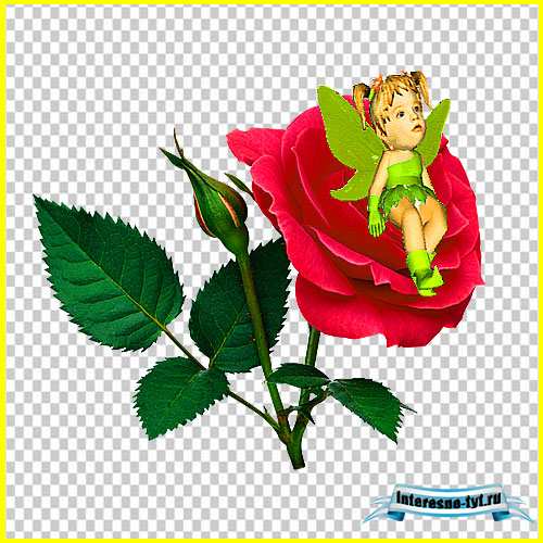 Футажи детские - Хороша я и роза Футажи детские - Хороша я и роза