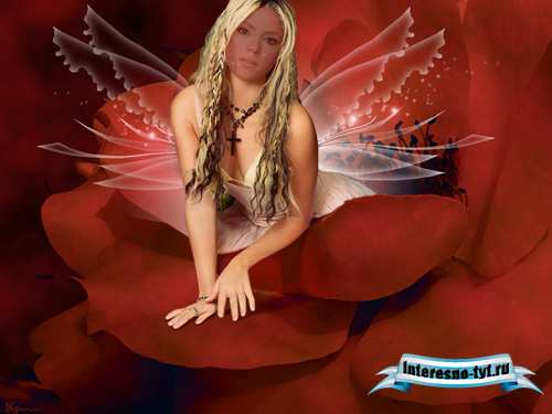 Шаблон для Photoshop - Фея на цветке